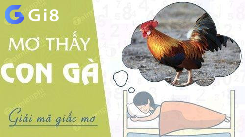 Giải mã giấc mơ thấy gà