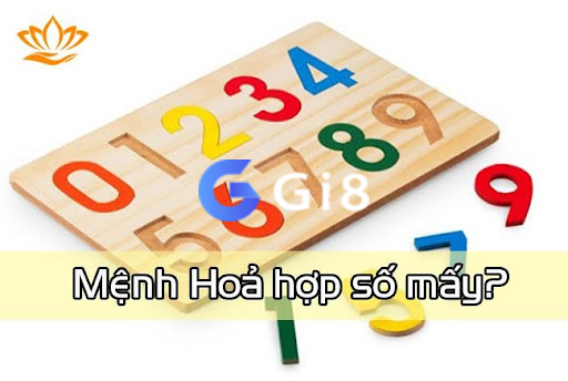 Mệnh hỏa hợp số mấy