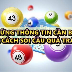 Soi cầu quả trám và những thông tin cần biết