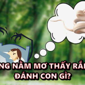 Giải mộng nằm mơ thấy rắn trắng đánh con gì?