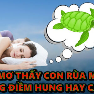 Mơ thấy con rùa điềm hung hay cát