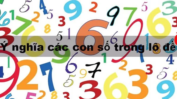 Cách sử dụng các con số đề theo con vật hiệu quả nhất