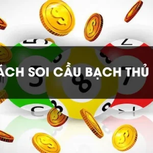 Áp dụng đúng cách để coi cầu bắt bạch thủ lô chuẩn nhất