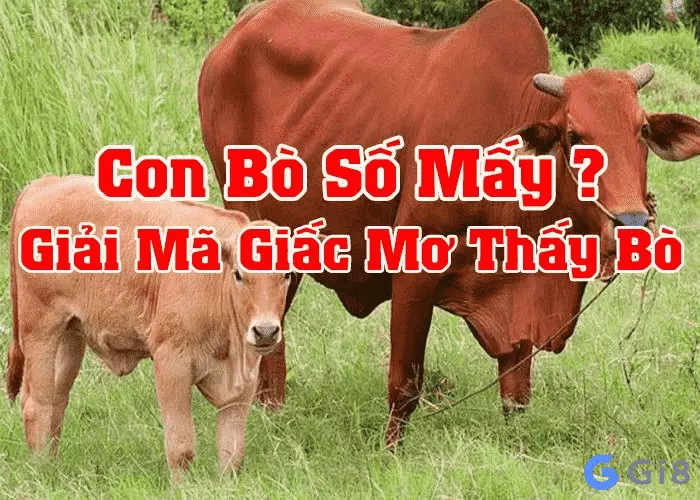 Mơ thấy bò đánh con gì chuẩn nhất