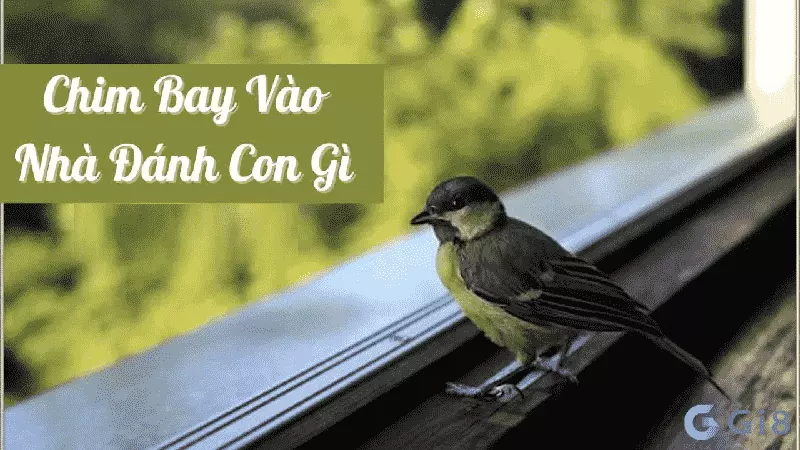 Chim sâu bay vào nhà đánh con gì?