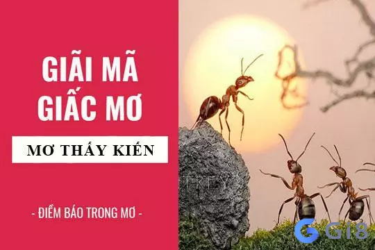 Nằm mơ thấy kiến đánh con gì? Có điềm báo gì? (Lành hay Dữ)