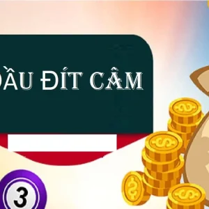 Cam dit 8 là gì? Đánh lô với câm đít 8 như thế nào?