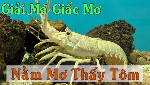 Giải mã giấc mơ thấy tôm chi tiết