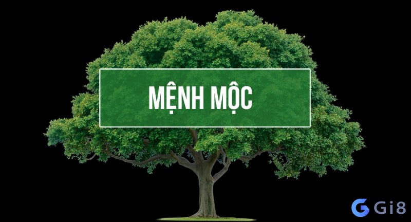 mệnh mộc hợp số nào