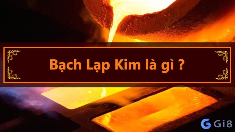 bạch lạp kim là gì