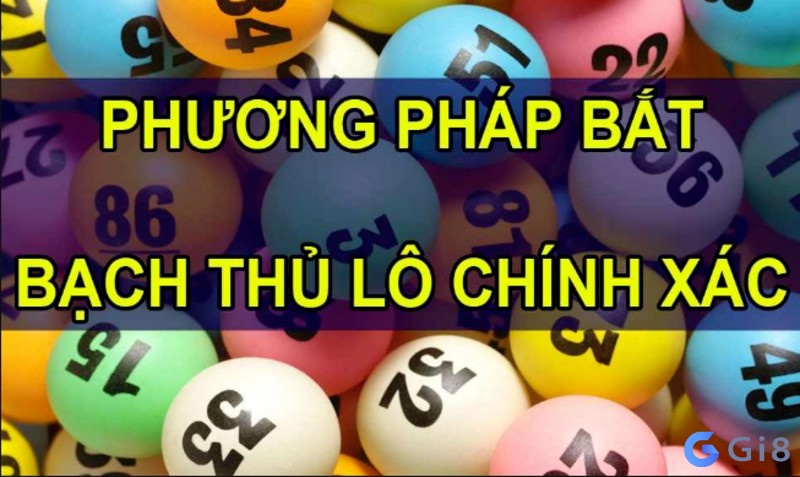 bạch thủ lô và song thủ lô là gì