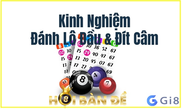 Dau dit cam danh so gi - Kinh nghiệm đánh chuẩn xác