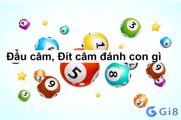 Dau dit cam danh so gi dễ trúng