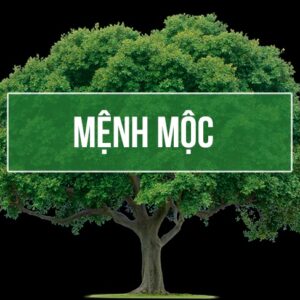 Mệnh mộc hợp số gì? tìm hiểu cách chọn số sim cùng Gi8