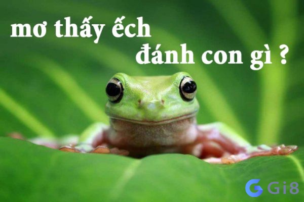 Con ech so may chính xác