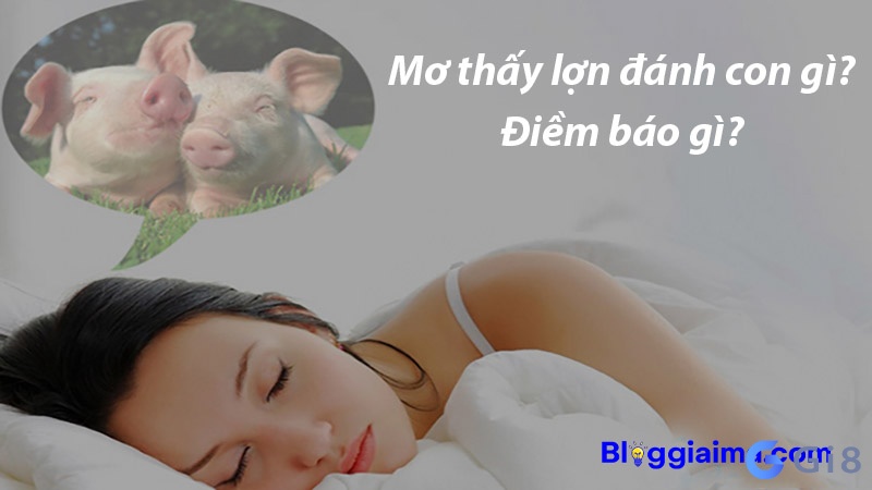 Giải mã về giấc mơ khi thấy heo