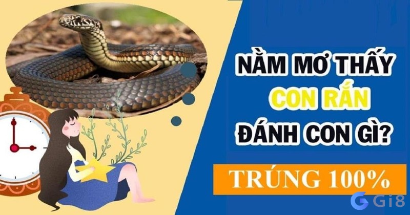 Mơ gặp rắn đánh đề con gì