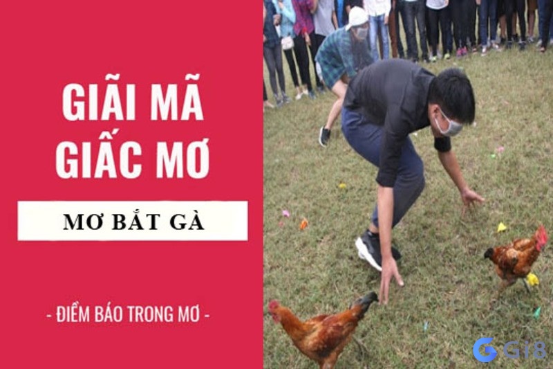 Chiêm bao thấy bắt gà có ý nghĩa như thế nào?