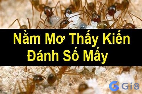 Mơ thấy đàn kiến đánh con gì đổi đời?