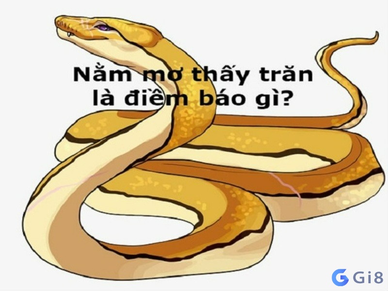 Mơ thấy trăn có ý nghĩa gì?