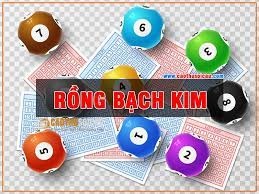 Rồng bạch kim là gì? Soi cầu Rồng bạch kim cùng gi8