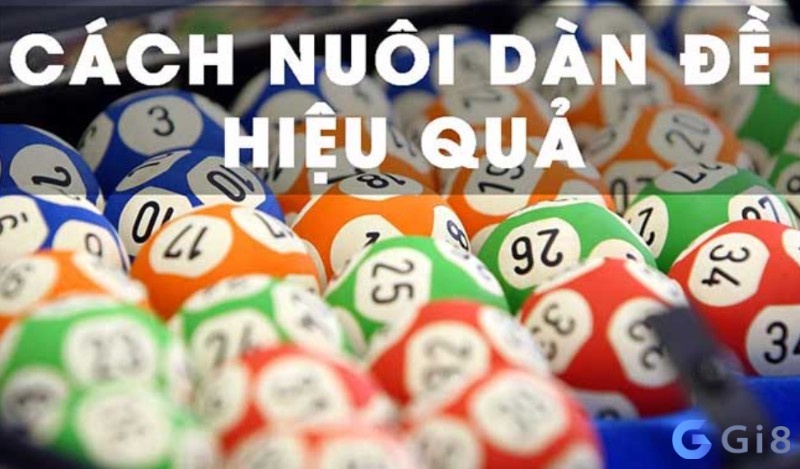 Cách nuôi dàn đề chuẩn hiệu quả 