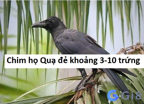 Chim họ Quạ đẻ khoảng 3-10 trứng