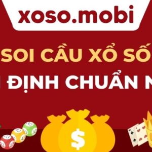 Soi cau lo de bdi - 4 cách soi cầu Bình Định chuẩn nhất