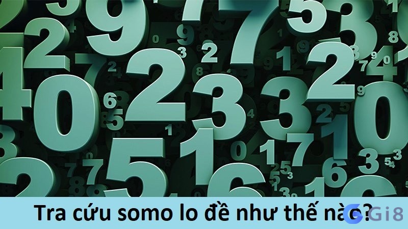 Cách tra cứu somo lo de như thế nào?