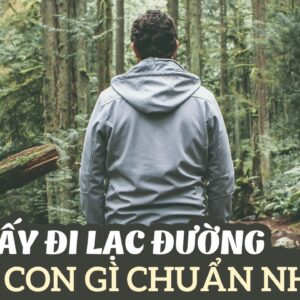 Chiêm bao thấy đi lạc đường, ý nghĩa cụ thể, con số có thể đánh