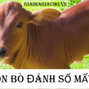 Mơ thấy đàn bò đánh số gì? Giấc mơ thấy đàn bò mang điềm gì?