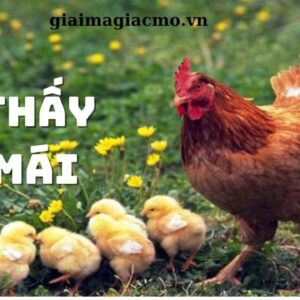 Mơ thấy gà mái đánh con gì? Mơ thấy gà mái đánh 29 – 03