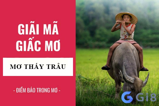 Ý nghĩa khi mơ thấy giết trâu là gì?