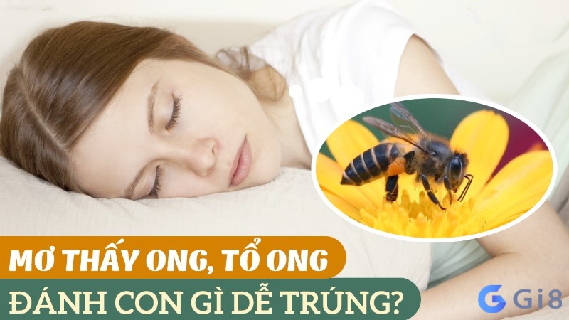 Mơ thấy ong vò vẽ đánh con gì dễ trúng?