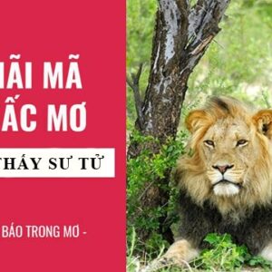 Mơ thấy sư tử đánh con gì? Khám phá lô đề chuẩn cùng Gi8