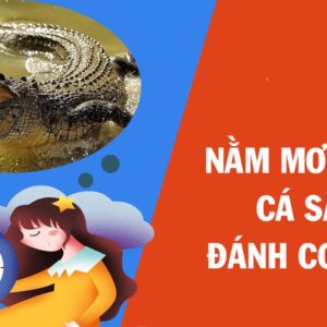 Nằm mơ thấy cá sấu đánh con gì? Giải mộng lô đề với Gi8