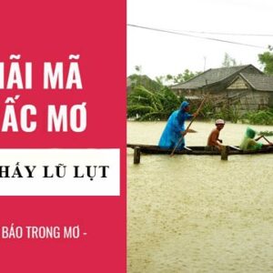 Chiêm bao thấy nước lũ báo hiệu điềm gì? Đánh đề số máy?