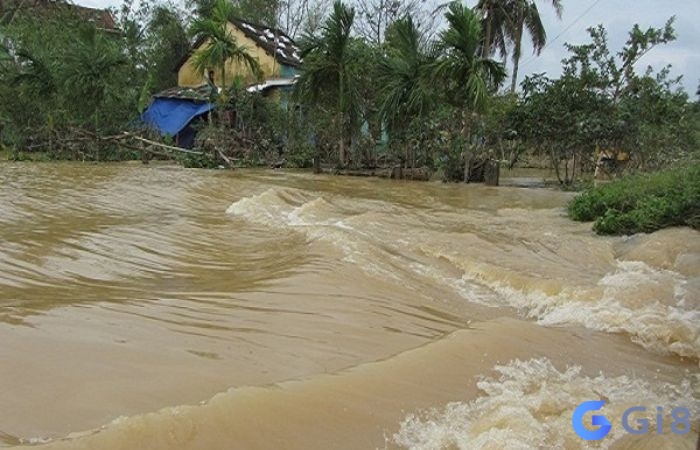 Mơ thấy lũ đánh đề còn gì cho trúng?