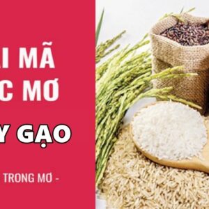 Mơ thấy gạo đánh con gì để giúp mọi lô thủ phát tài