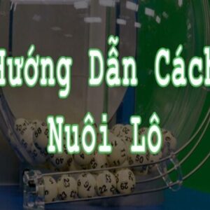 Nuôi lô là gì? Các hình thức nuôi lô phổ biến hiệu quả nhất