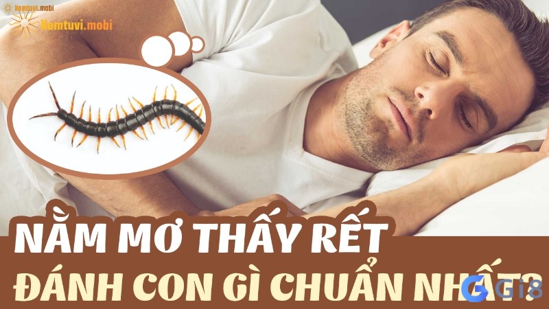 Giải mã gặp rết đánh con gì cùng Gi88 nhé!