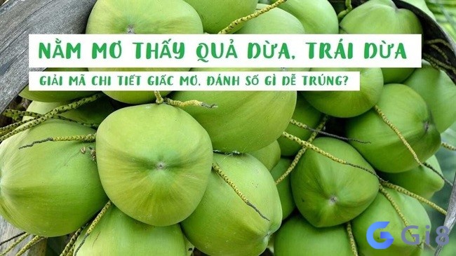 Mơ thấy nhiều trái dừa cho thấy bạn đang có chuyển đổi tích cực trong cuộc sống