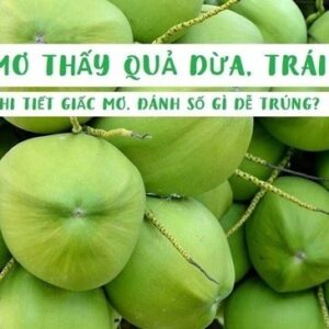 Mơ thấy nhiều trái dừa là hung hay cát? Gi8 luận giải