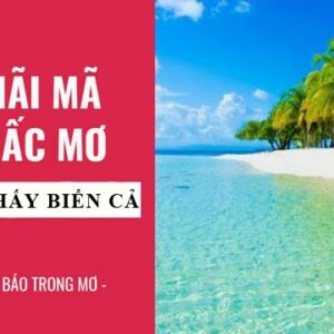 Nằm mơ thấy biển đánh con gì? Tìm số đổi đời cho dân chơi