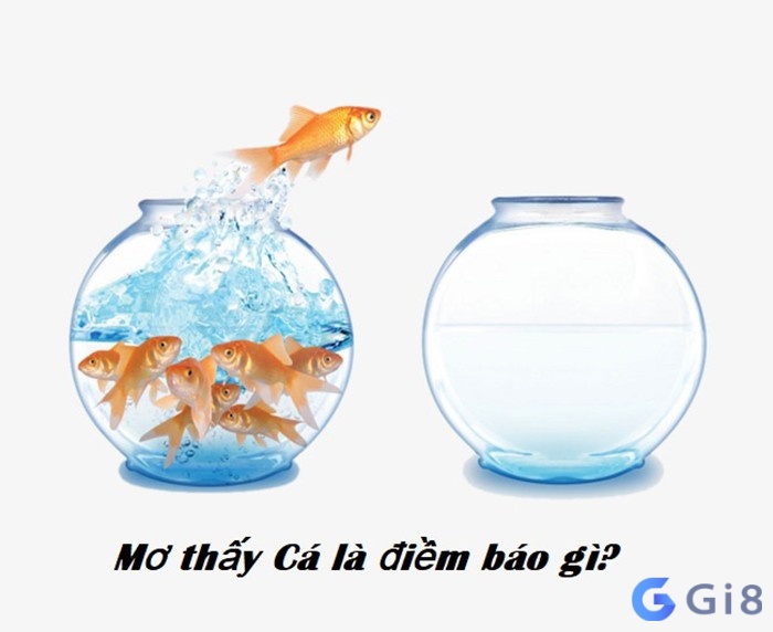 Nam mo thay ca mang điềm báo gì?