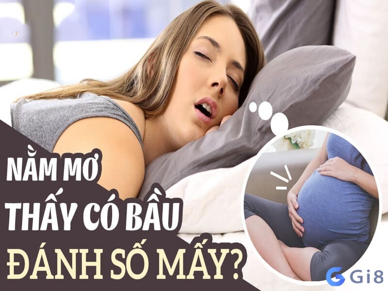 Những giấc chiêm bao ngủ nằm mơ thấy có bầu đánh đề con gì nhanh đem tiền về