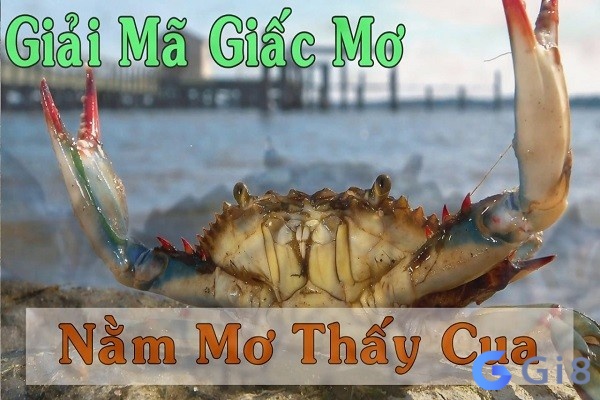 Giải mã ngủ mơ thấy con cua đánh đề con gì