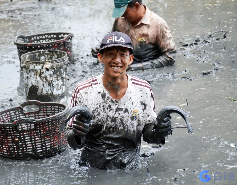 Chiêm bao thấy bắt cá cho thấy điềm báo tốt về tài chính