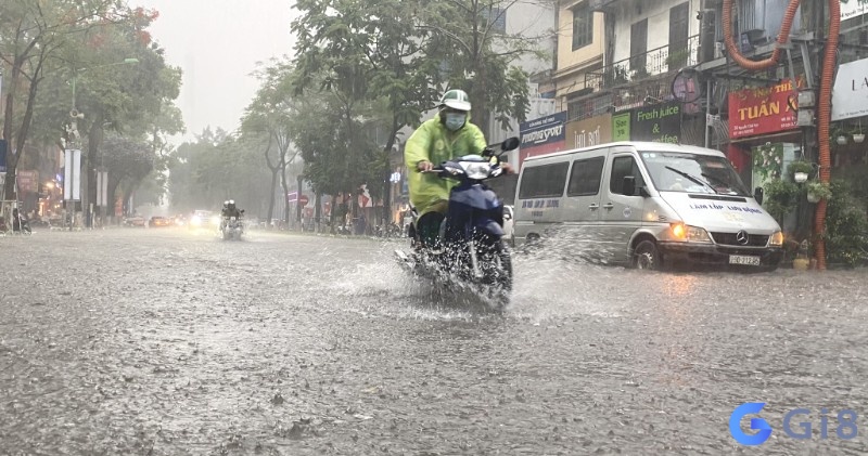 Nằm mơ thấy mưa to được chuyên gia luận giải theo tình huống mơ 